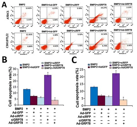 apoptosis assay elisa kit|apoptosis kit flow cytometry.